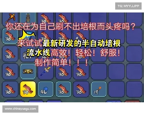 冰洁师刷图加点五大实用技巧分享 提升游戏效率与战斗力 冰洁师刷图加点五大实用技巧分享 提升游戏效率与战斗力