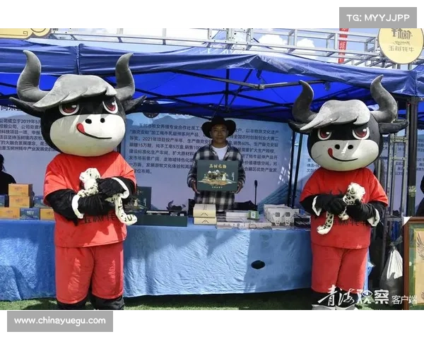 高原地区社会服务创新模式的成功实践与发展路径探索 高原地区社会服务创新模式的成功实践与发展路径探索