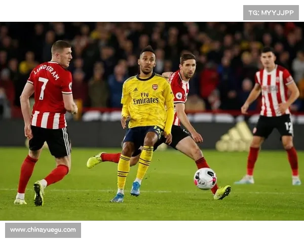 全面解析如何深入了解英冠比赛的赛制规则与比赛形式